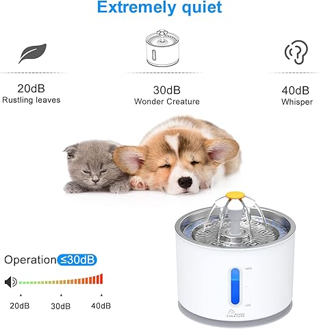 Extremely Quiet